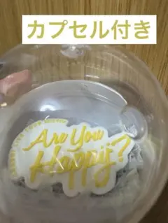 嵐 会場限定 ガチャ 歴代　ロゴマグネット Are You Happy?