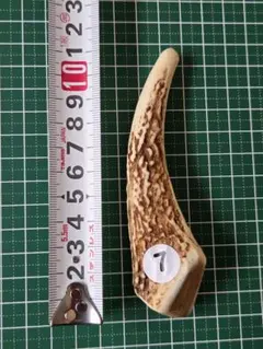 天然鹿の角 ★犬用ガム・おもちゃとして人気の「鹿の角」のサムネイル