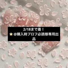 2/18まで着！⭐ @購入時プロフ必読様専用出品