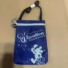 東京ディズニーリゾート バケーションパッケージ ポーチ