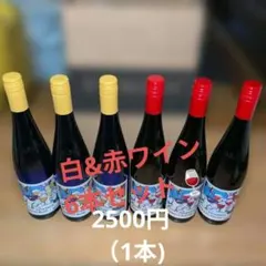 ピーロートジャパン2025年ブルー・ヌーヴォー✕3本 ルージュ✕3本 6本