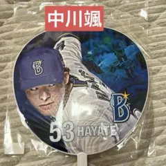 Item thumbnail for item 42a2fe11-1ed4-462f-8d28-12939131d136