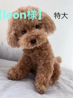 leon様