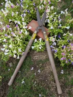 ジャンクガーデンの演出用　ワイヤーかご　鉄錆物　ブロカント　多肉&セダム　古道具 ジャンクガーデンの演出用 ワイヤーかご 鉄錆物 ブロカント 多肉