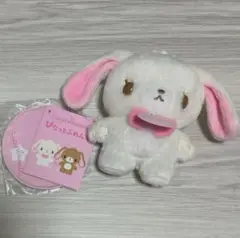 シュガーバニーズ しろうさ ぴたっとふれんず サンリオ