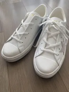 Item thumbnail for item c93c10c9-982b-43b1-8006-d4c4d402decf