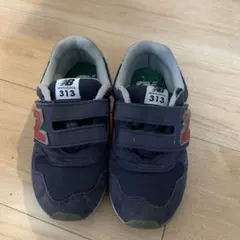 Item thumbnail for item 405be367-07e1-48d1-a8dc-602b52800656