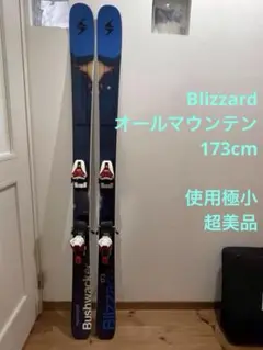 2025年最新】BLIZZARD 板の人気アイテム - メルカリ