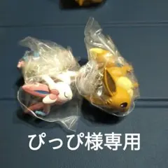 ぴっぴ様専用