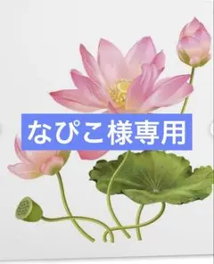 2025年最新】ミネルヴァ化粧品の人気アイテム - メルカリ