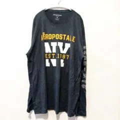 【希少3XL】エアロポステール ロンT 長袖 Tシャツ ゆるだぼ ビッグロゴのサムネイル