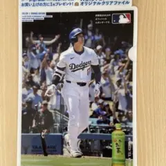 大谷翔平選手クリアファイルセット
