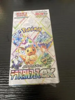 2025年最新】シュリンク テラスタルフェスの人気アイテム - メルカリ