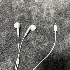 Lightningコネクタ &TYPE Cコネクタ　インイヤー型有線イヤホン