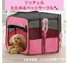 Item thumbnail for item 45eb3104-dc5b-4097-8d57-071431f3ad69