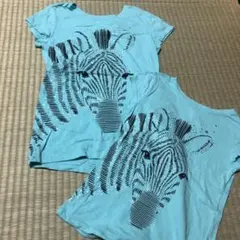 120.140 ギャップキッズ しまうま ゼブラ 姉妹お揃い 半袖 セット
