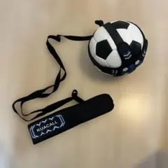 Item thumbnail for item 69c382a2-1096-4309-a858-43157659c9ac