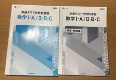 Item thumbnail for item f2924fb1-25d6-4115-81c2-9a259ce2e5f8