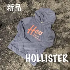 新品　HOLLISTER 裏起毛パーカーのサムネイル