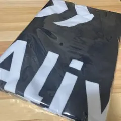 Item thumbnail for item 3794a59d-2dcd-4abf-8114-620716a71a36