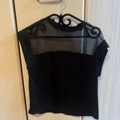 ZARA ブラック シースルー 半袖トップス