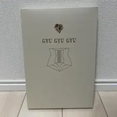 GYU GYU GYU 骨盤ショーツ ベージュ Mサイズのサムネイル
