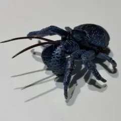 原色甲殻類エビカニ図鑑 ヤシガニのサムネイル