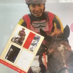 競馬。オルフェーブル(クリアファイルセット)