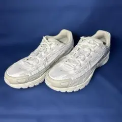 Nike ナイキ P-6000 25cm
