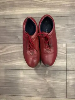 Item thumbnail for item c6b1197f-d985-4949-8bc5-5a2ecd27a523