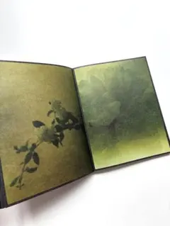 【美品】藤田はるか写真集「torikumo」屏風絵　日本画　花鳥風月　四季　自然 美品】藤田はるか写真集「torikumo」屏風絵 日本画 花鳥風月 四季 自然