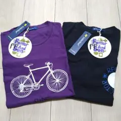 新品　タグ付き　ゴールデンベア　Tシャツ　2枚セット　本体 綿100%
