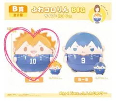ハイキュー ぬいくじ 日向翔陽 B賞 ふわコロりん BIG