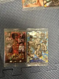 RIZINウエハース　シークレット2枚セット