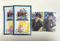 SKZ TOYWORLD Stray Kids オンラインくじ チャンビン