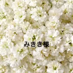 みきき様専用ページ