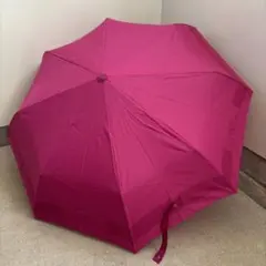 Item thumbnail for item 44a930b9-0646-407e-80b8-c9b085050b98