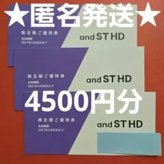 【最新】アンドエスティ株主優待券4500円分/期限27年5月/アダストリアのサムネイル