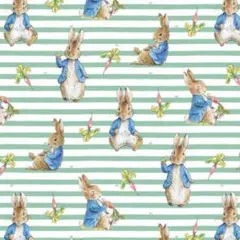 Item thumbnail for item a0341053-5648-4e0e-9a94-a58691f1e51c