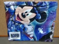 TokyoDisneyland【バスタオルワイド】