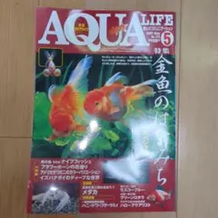 2025年最新】きんぎょ生活 雑誌の人気アイテム - メルカリ