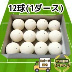 【新品】ノーブランド ソフトテニスボール1ダース