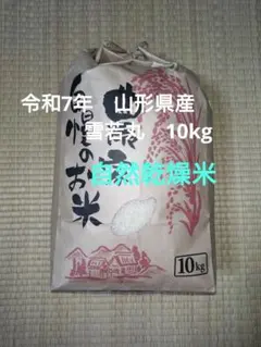 雪若丸 精米 5kg×2袋 山形県産　精米R8.1下旬 雪若丸 精米 5kg×2袋 山形県産 精米R8.1下旬 - メルカリ