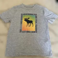 abercrombie kids Tシャツ 7/8 3枚セット