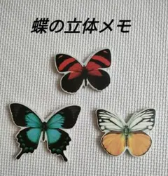 Item thumbnail for item ef43cc5d-97b7-42da-a243-535c34a8d9f9