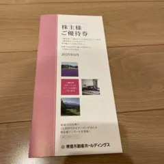 東急不動産ホールディングス　株主優待　500株