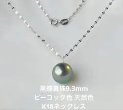 【1点物】南洋黒蝶真珠　プラチナ850 一粒ネックレス ✦刻印✦南洋パール大粒 プラチナ】南洋黒蝶真珠 プラチナ850 一粒ネックレス ✦刻印✦南洋