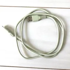 USB-C to Lightningケーブル