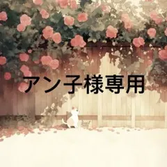 アン子 様　専用