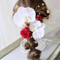 胡蝶蘭和装髪飾り 大輪胡蝶蘭と赤いピンポンマムの髪飾り 結婚式 卒業式